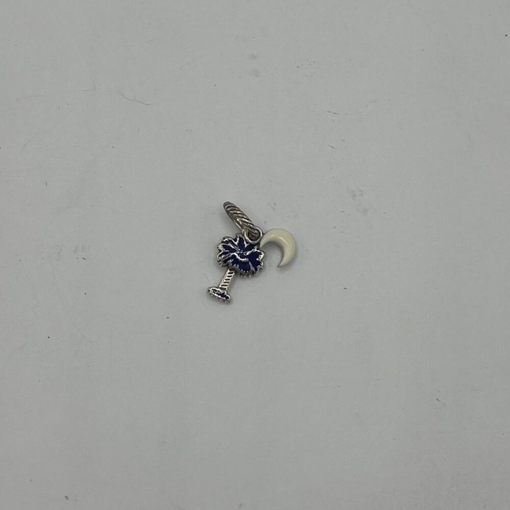 Brighton South Carolina Charm